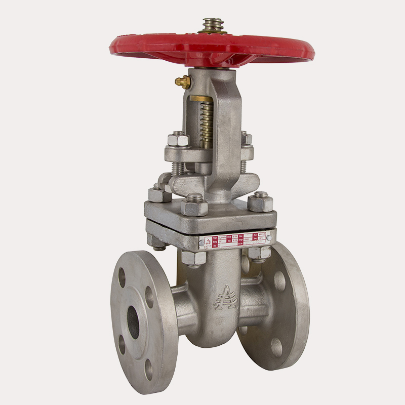 01 (ABOUT US) GT-150-CF8M-F